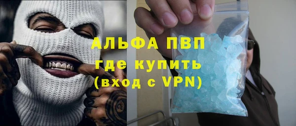 стафф Алзамай