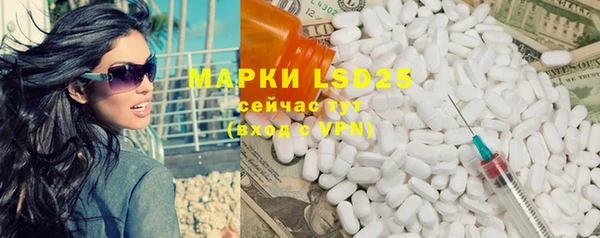 стафф Алзамай