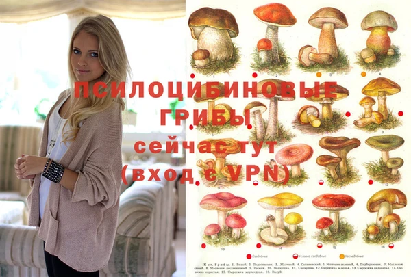 скорость Алексеевка